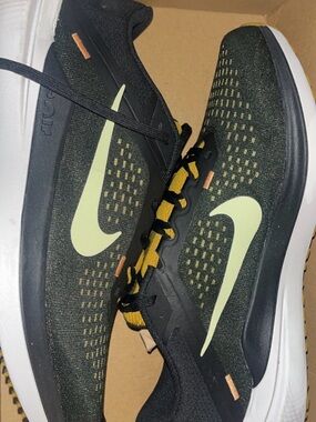Nike Men’s Winflo shoes